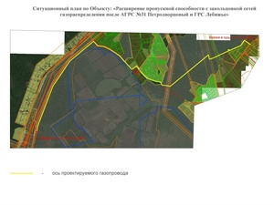 Ситуационный план по объекту _Расширение пропускной способности с закольцовкой сетей газораспределения после АГРС №31 Петродврцовый и ГРС Лебяжье_.jpg